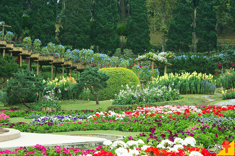 Paisagismo: Passo a Passo para Planejar o Jardim dos Seus Sonhos