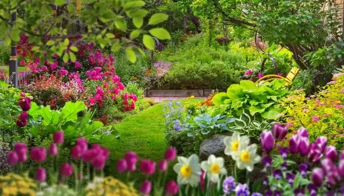 Manutenção de Jardins ao Longo do Ano: Dicas Essenciais para Cuidar do Seu Jardim em Cada Estação