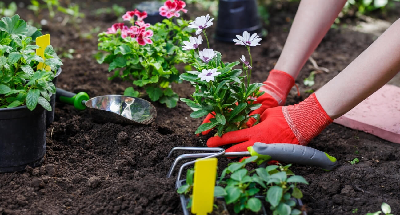 Transformando Espaços: Dicas Criativas para Casa e Jardim