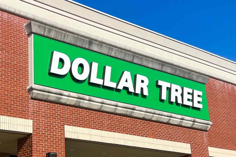 Dollar Tree: Discover New Job Opportunities and Build Your Future!